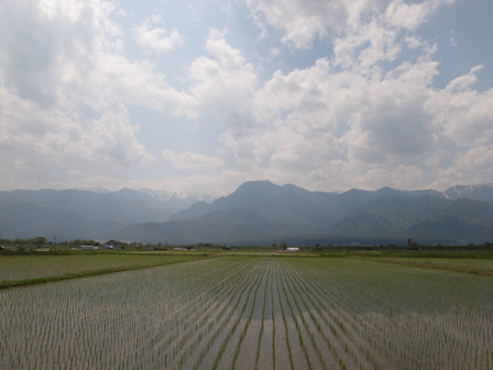 池田町の有明山_a0014840_23273148.jpg