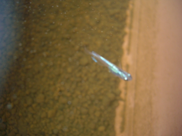 c0234544_1605889.jpg