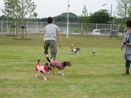 310開催平日オフ会②　遊んでる様子_d0155853_018510.jpg