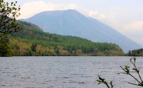 a0248459_33536.jpg