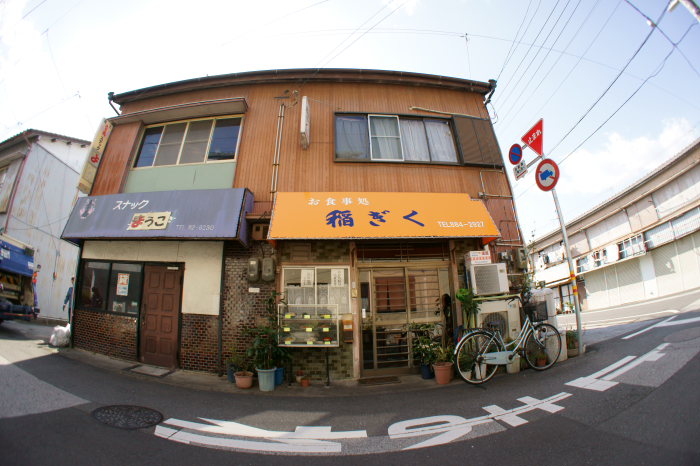 稲ぎく_a0077663_836033.jpg