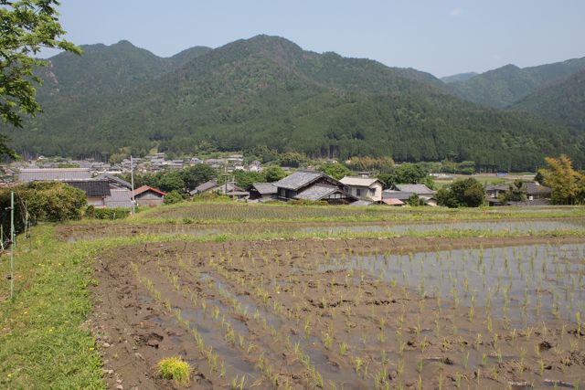 東海自然歩道 第6回　（京都 大原-比叡山-滋賀）_c0218468_21211627.jpg