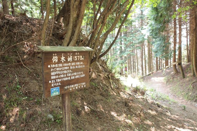 東海自然歩道 第6回　（京都 大原-比叡山-滋賀）_c0218468_21233239.jpg