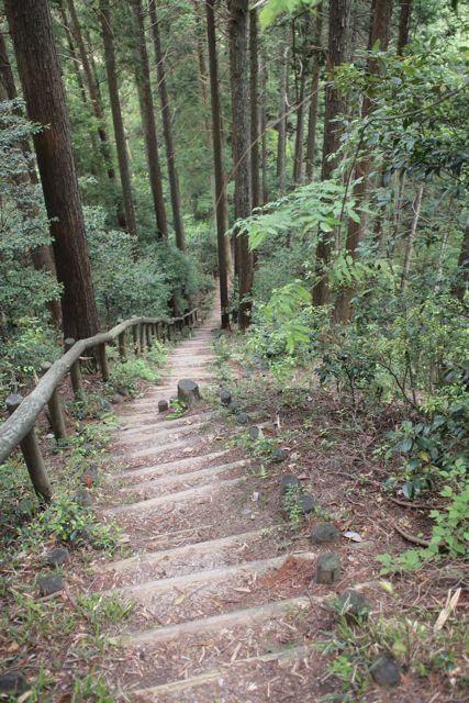 東海自然歩道 第6回　（京都 大原-比叡山-滋賀）_c0218468_21435958.jpg