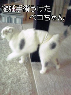 f0200871_23432785.jpg