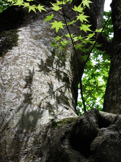 f0115475_1003098.jpg