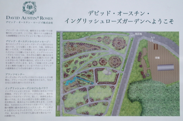 e0126576_15441071.jpg