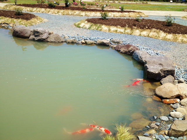 e0126576_15511833.jpg