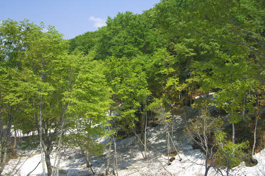 c0096278_19194673.jpg