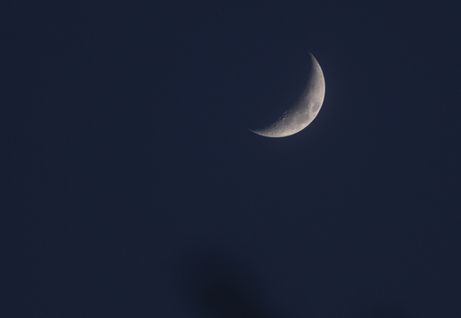 c0096278_1924442.jpg