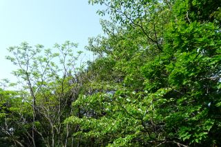 2012年5月27日 プレオープン!スピンク!_b0098584_17483436.jpg