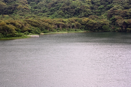 大路池_c0204385_1855921.jpg