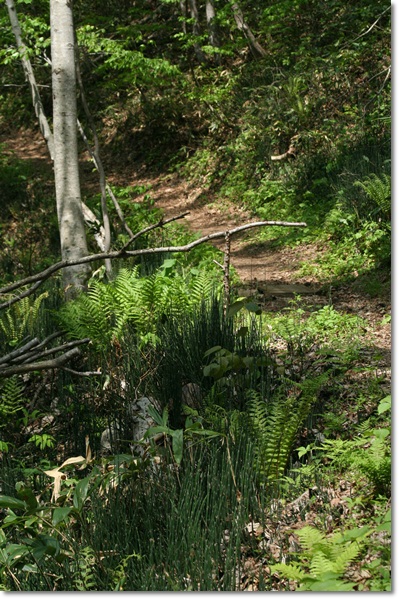 f0146493_99463.jpg