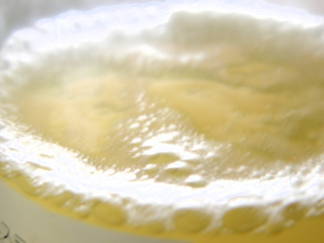 a0206496_17301875.jpg