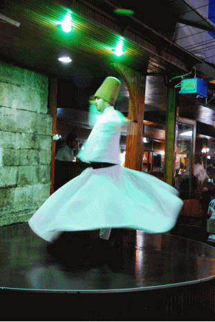 f0053297_13224441.gif