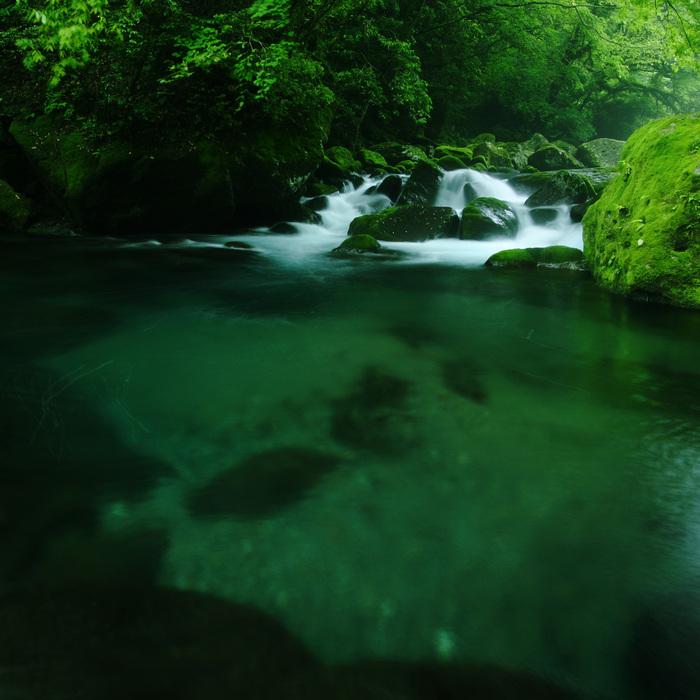 雨上がりの菊池渓谷_a0062300_15423379.jpg