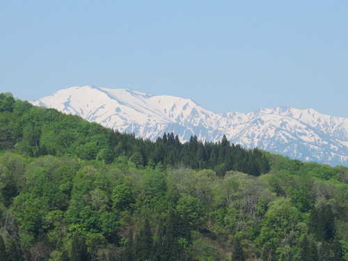 白川ダム湖畔の山道を歩く・日曜日の朝（５）飯豊山_c0075701_19305770.jpg