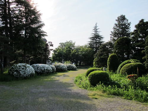 躑躅が見頃、山形大学工学部・重文本館庭園（２）_c0075701_2110085.jpg