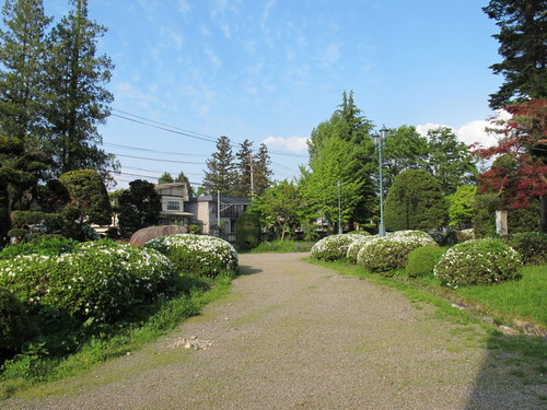 躑躅が見頃、山形大学工学部・重文本館庭園（２）_c0075701_2110653.jpg