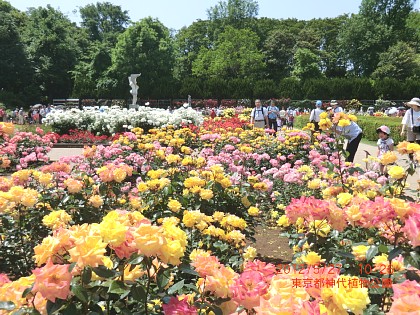 2012年5月27日（日） ； 晴れ_d0051601_23593895.jpg