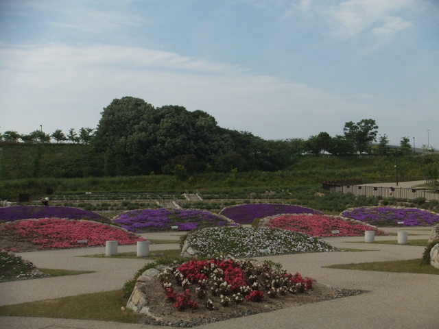 a0271502_15266.jpg