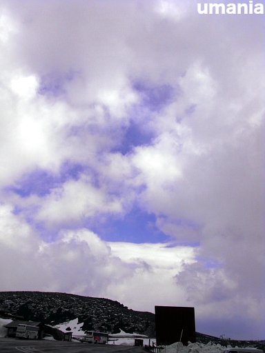 b0061004_18375689.jpg