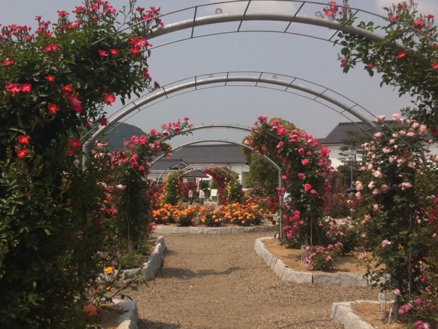 e0252905_13392331.jpg
