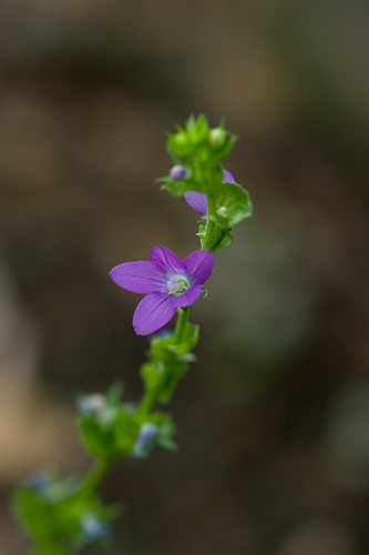 d0036708_19335317.jpg