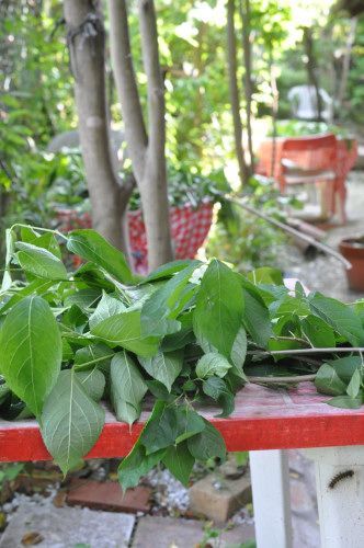 f0188408_14561013.jpg