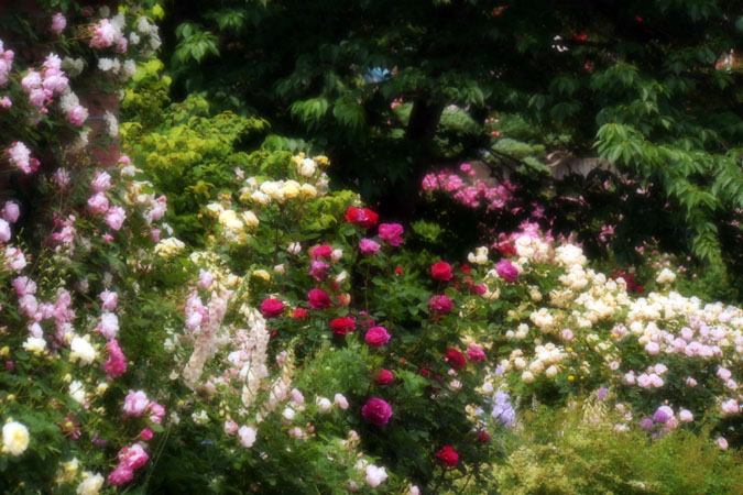 a0263109_14334176.jpg