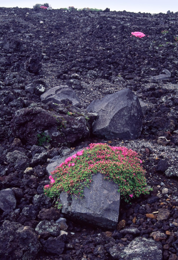 c0235114_94227.jpg