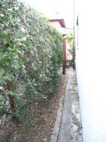 c0192418_23454322.jpg