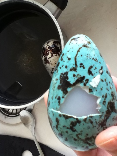 アイスランドでチョコミント色のカラスのタマゴを茹でて食べた！_c0003620_3583811.jpg