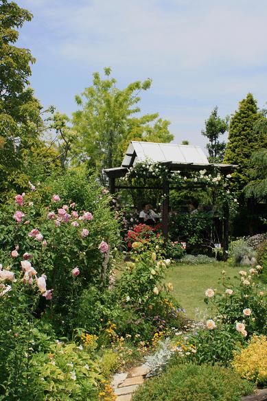 美野里 フェイバリット ガーデン ローズ フェスティバルへ さいたま日記