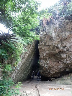 f0120320_1738230.jpg