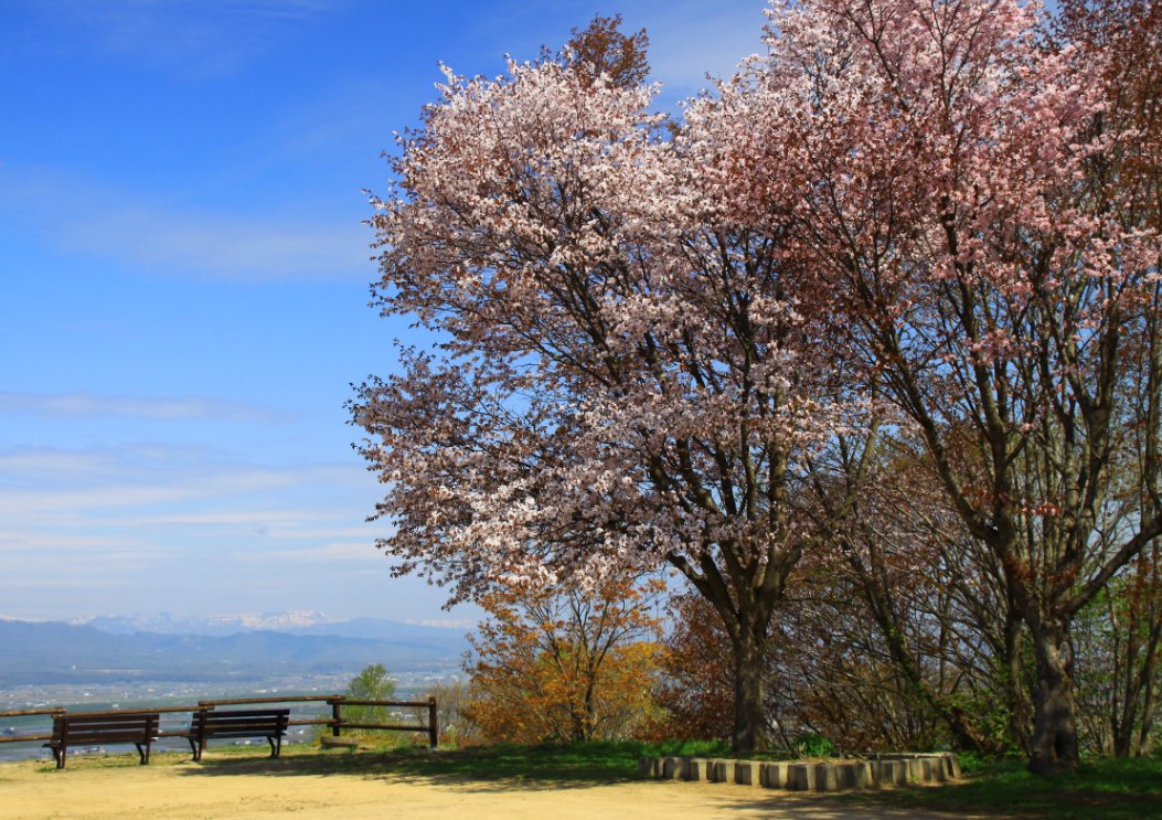 奈井江庭山森林公園_d0113821_15433125.jpg