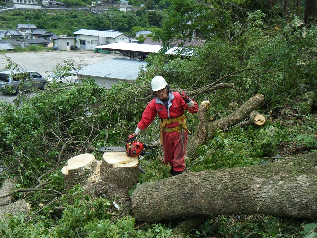 中川レポート（第483号）_e0138321_1524679.jpg