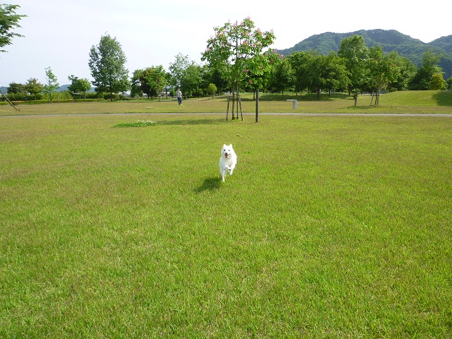 a0024829_20554799.jpg