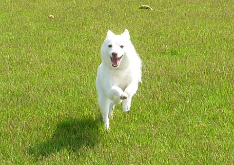 a0024829_20562299.jpg