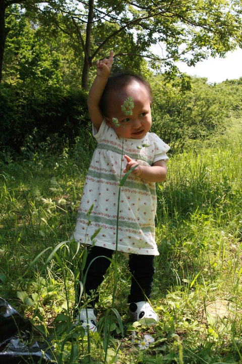 c0078829_47142.jpg
