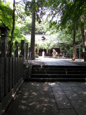 c0038434_94606.jpg