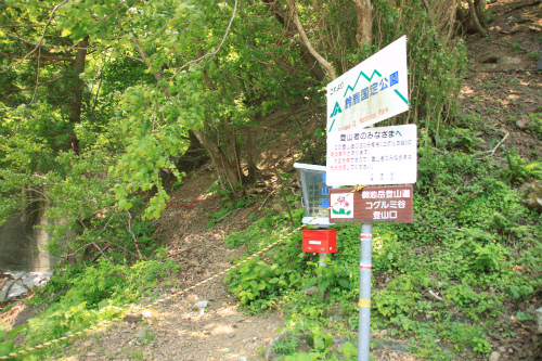 御池岳　1,247m　笹が姿を消し大変貌した山　滋賀県_d0055236_15542239.jpg