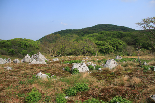 御池岳　1,247m　笹が姿を消し大変貌した山　滋賀県_d0055236_1615121.jpg