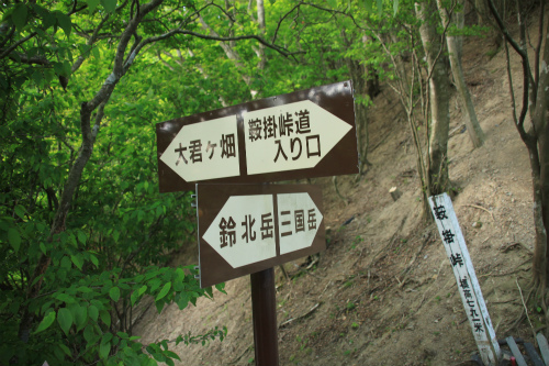 御池岳　1,247m　笹が姿を消し大変貌した山　滋賀県_d0055236_16195749.jpg