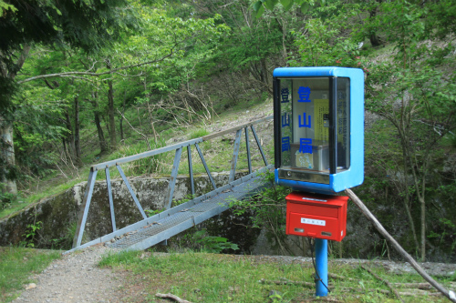 御池岳　1,247m　笹が姿を消し大変貌した山　滋賀県_d0055236_16214636.jpg