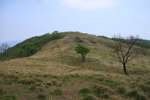 御池岳　1,247m　笹が姿を消し大変貌した山　滋賀県_d0055236_16341079.jpg