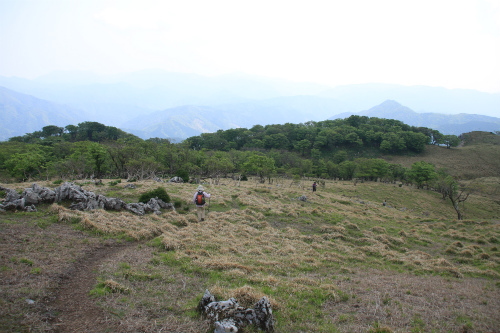 御池岳　1,247m　笹が姿を消し大変貌した山　滋賀県_d0055236_16353446.jpg