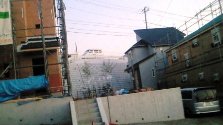 a0138438_6233060.jpg