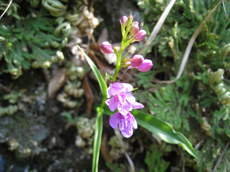 c0077338_64562.jpg