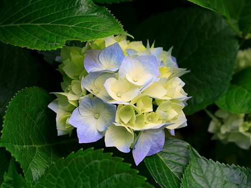 e0270539_1259473.jpg